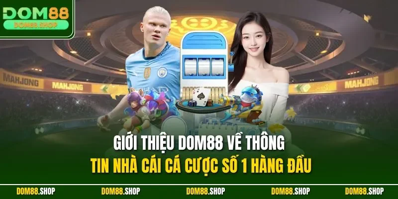 Giới thiệu Dom88 về thông tin nhà cái cá cược số 1 hàng đầu